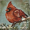 GE719 - Red Cardinal
