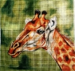 GEP209 - Giraffe