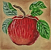 GEP243 - Botanical Apple