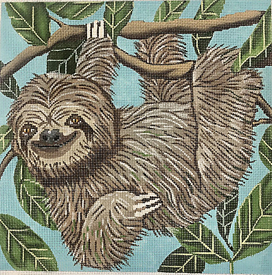 GEP343 Sloth